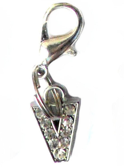 Salmon Oscar A-Z Crystal Letter Pet Charm attached to a leash, featuring sparkling crystal letter decoration for pets.