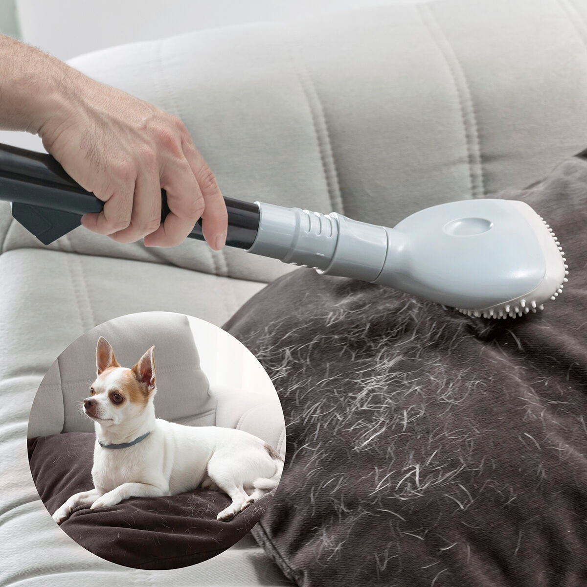Bigbuy Smoovah vacuum cleaner brush accessory with soft bristles and ergonomic handle for effective cleaning.