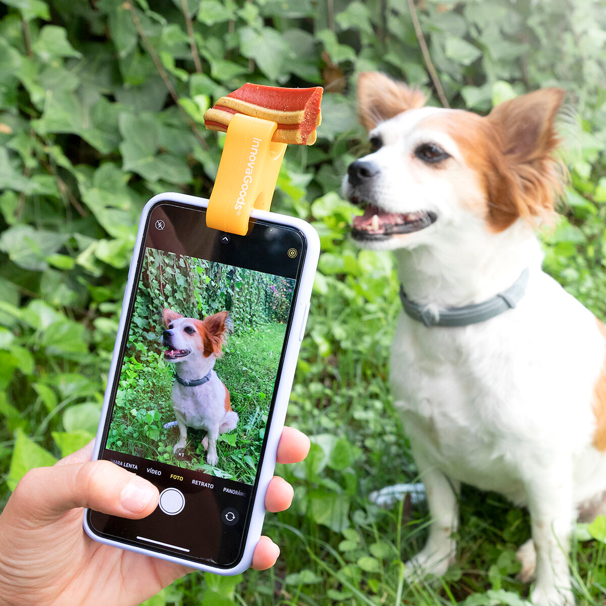 Pet selfie clip from Pefie InnovaGoods, designed for smartphones, featuring a secure grip and adjustable arm for pets photos.
