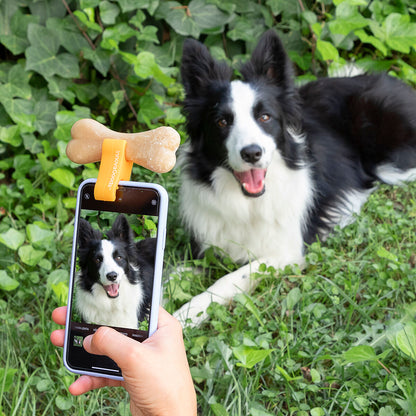 Selfie clip for pets from Pefie InnovaGoods, a consumer electronics accessory by Bigbuy, used to capture pet photos easily.