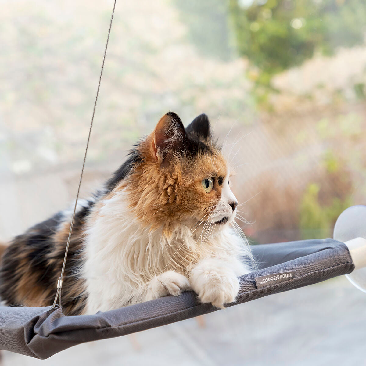 Hanging Cat Hammock by Bigbuy for pets, featuring soft fabric and sturdy support, ideal for cozy cat resting spots.