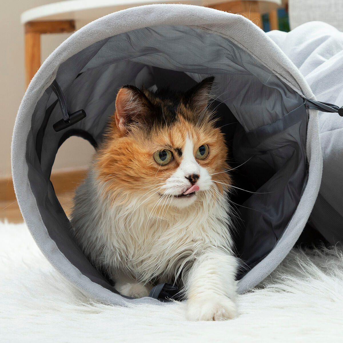 Collapsible pet tunnel from Funnyl InnovaGoods, suitable for cats and small dogs, made of durable fabric with a fun, collapsible design.