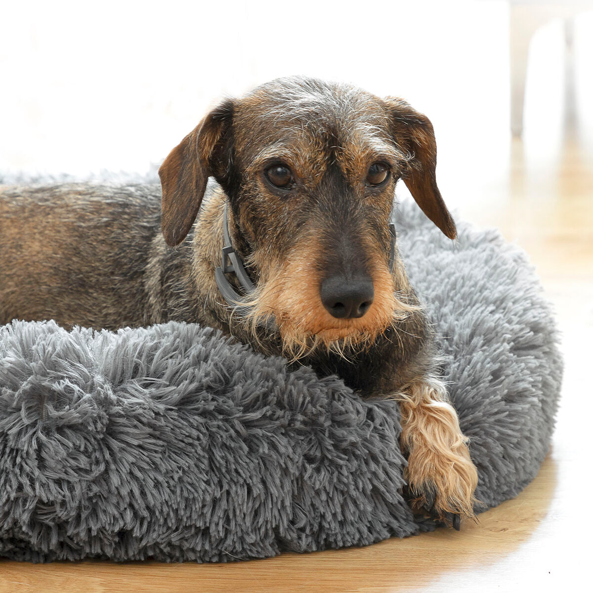 Soft anti-stress pet bed by Bigbuy, Bepess InnovaGoods, in a 60 cm diameter with cozy cushioning for pets.