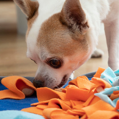 Bigbuy Fooland Sniffing Mat for Pets with colorful fabric and scent puzzles designed to engage and entertain dogs and cats.