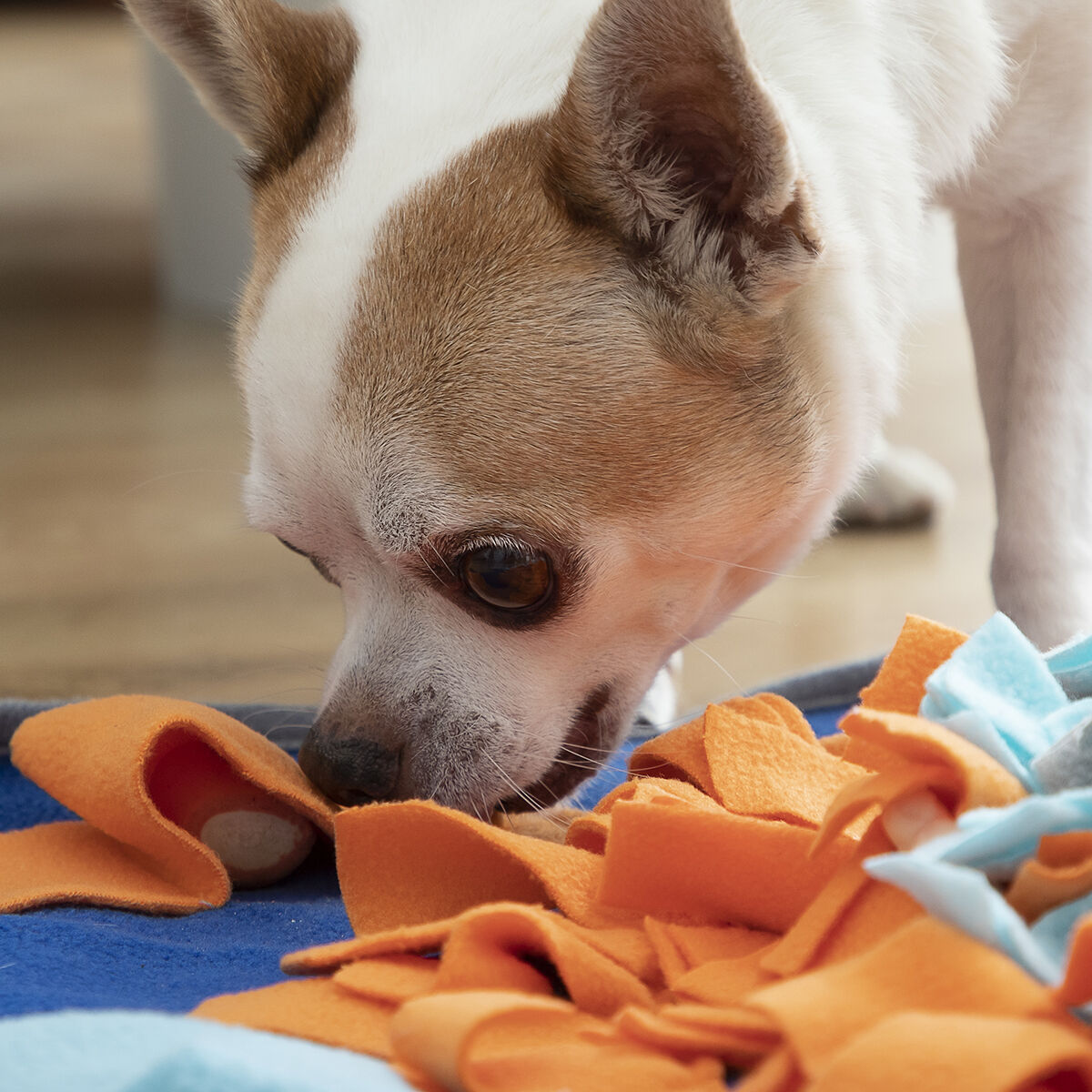 Sniffing mat for pets by Fooland InnovaGoods, featuring a colorful, textured surface designed for pet enrichment and mental stimulation.