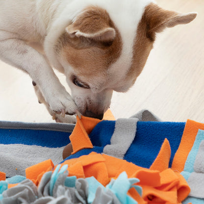 Bigbuy Fooland pet sniffing mat for pets, with colorful fabric and scent-infused sections for engaging mental stimulation.