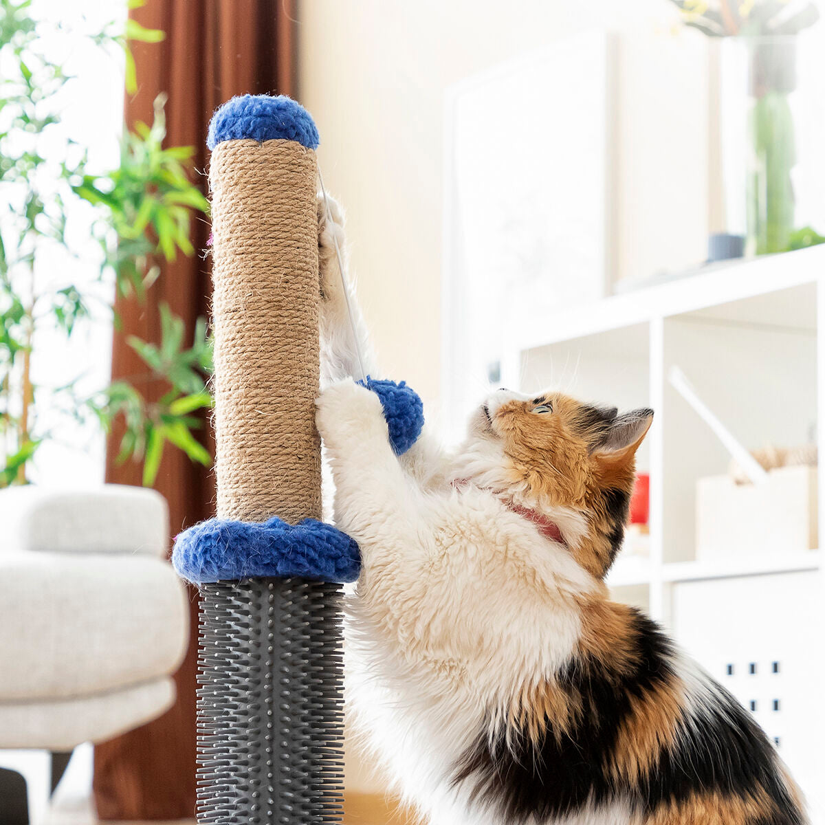 Bigbuy Miausage InnovaGoods cat scratching and massage post with ball, designed for pets to scratch, play, and relax.