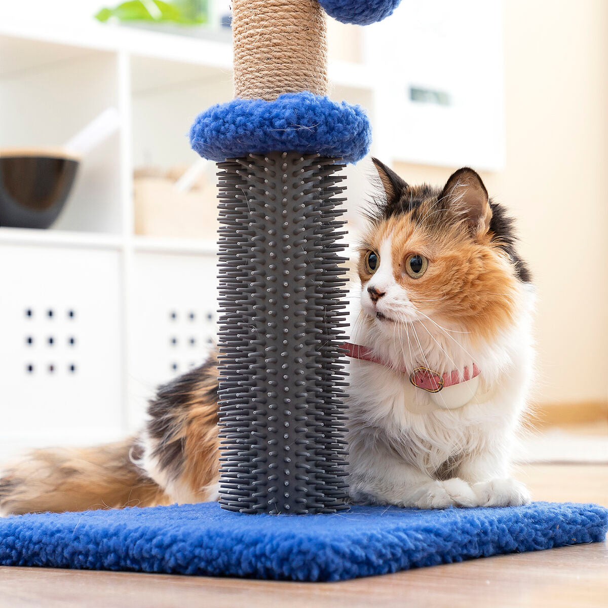 Bigbuy Miausage InnovaGoods cat scratching and massage post with ball for pets, featuring textured surface and playful design