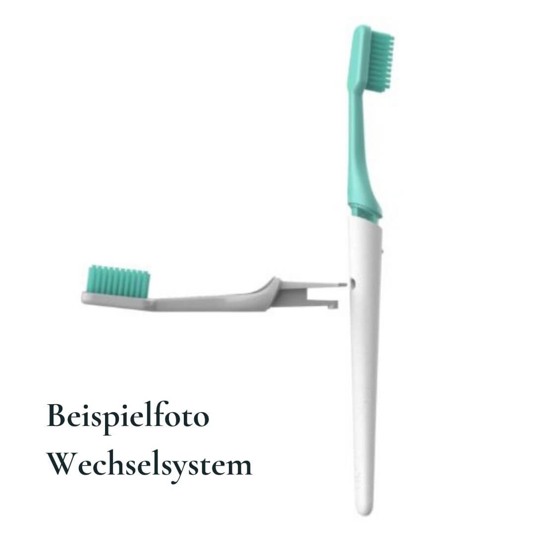 Two Gray Hestia sustainable toothbrush replacement heads in silver for eco-friendly oral care, shown with the Wechselsystem Tio.