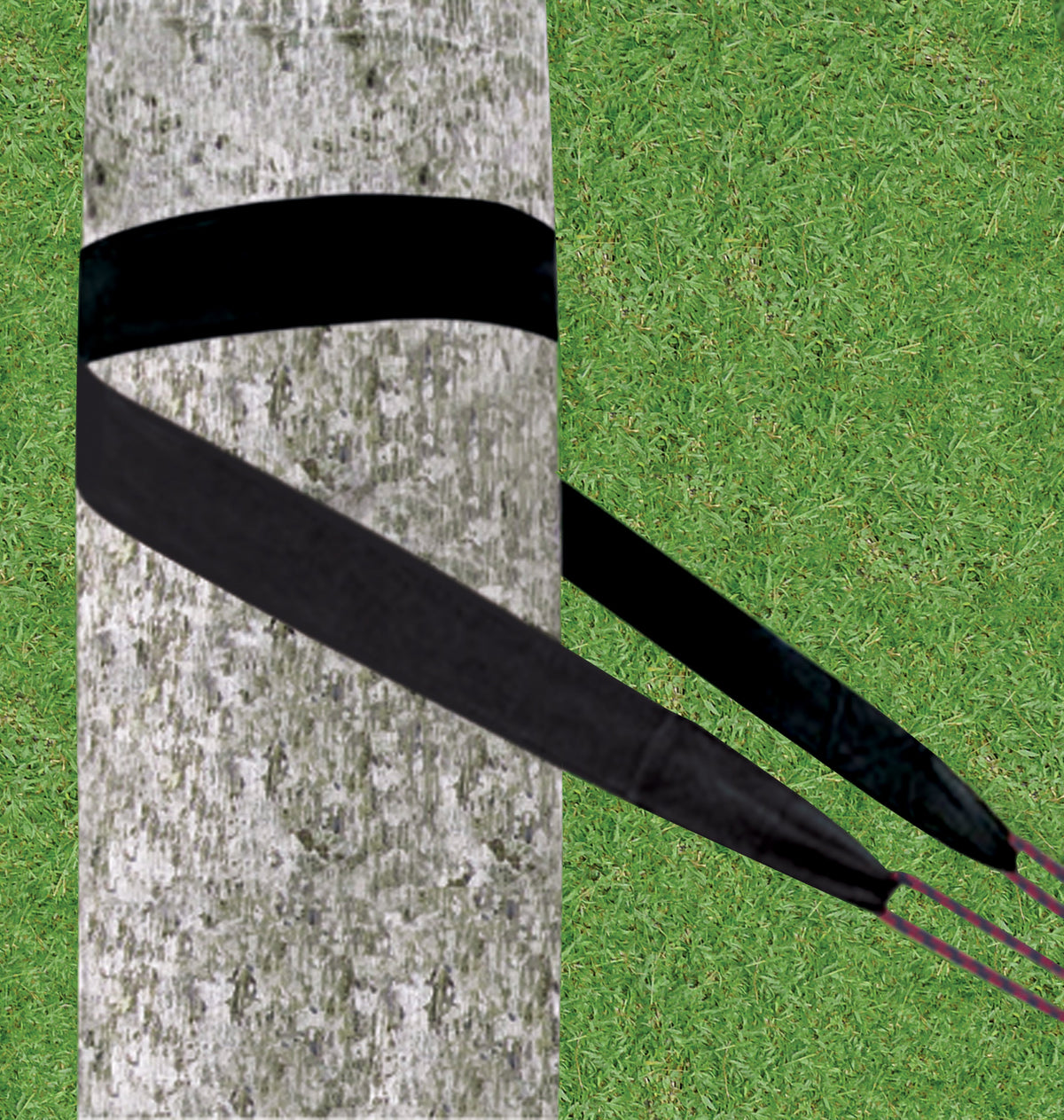 Standard Tree Straps