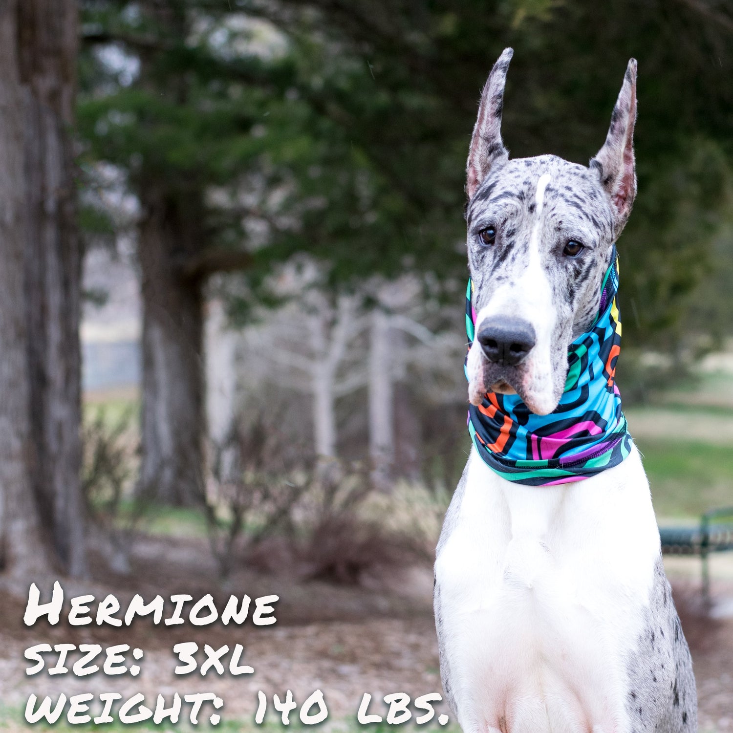 Sky Blue Prometheus Zoomies Pup Scruff pet leash with adjustable collar and stylish design for dogs.