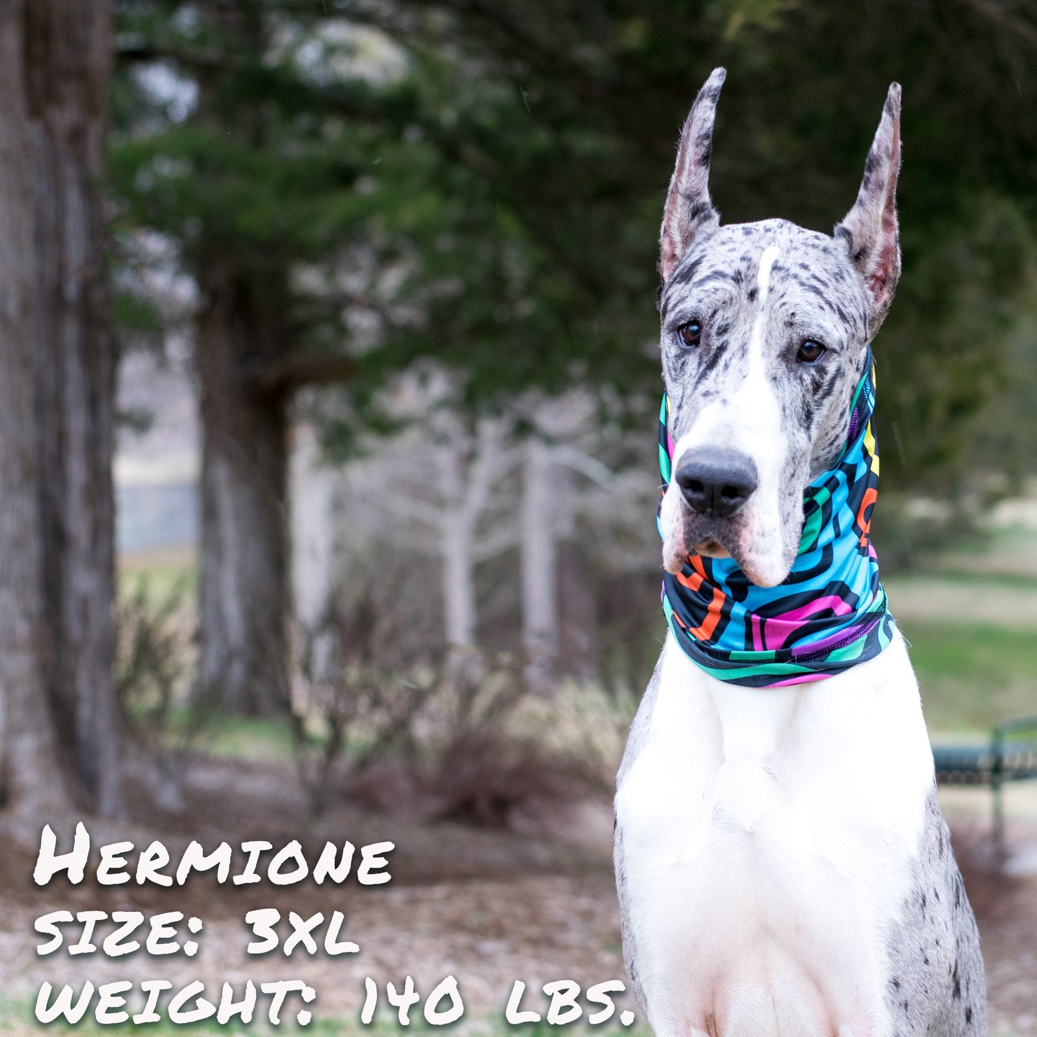 Sky Blue Prometheus Zoomies Pup Scruff pet leash with adjustable collar and stylish design for dogs.