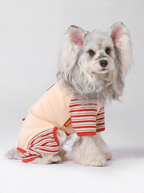 Striped comfortable pet jumpsuit by Pear Daisy, made for home and garden, shown on a small dog in a cozy indoor setting