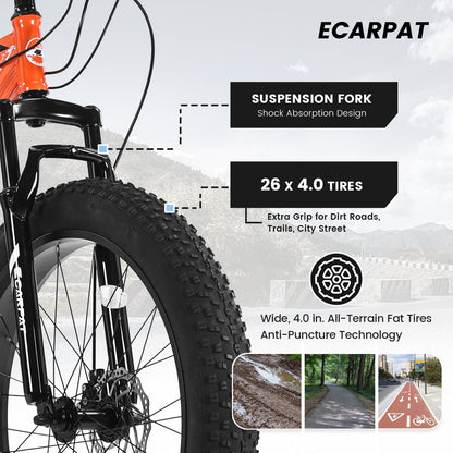 Carmine Juneberry TerraForce City-Cruizer 26-inch fat tire mountain bike with 21-speed gear and sturdy frame, suitable for urban and off-road riding.