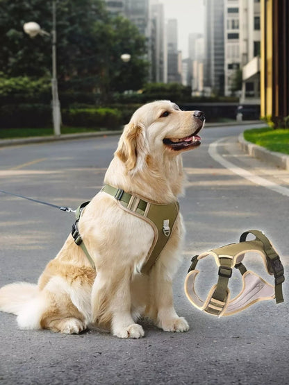 Adjustable reflective pet harness from Pear Daisy, showing a comfortable fit with reflective strips for safety during walks.