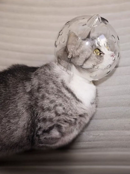 Clear anti-bite pet head cover by Pear Daisy, spherical design to protect pets from biting or scratching.