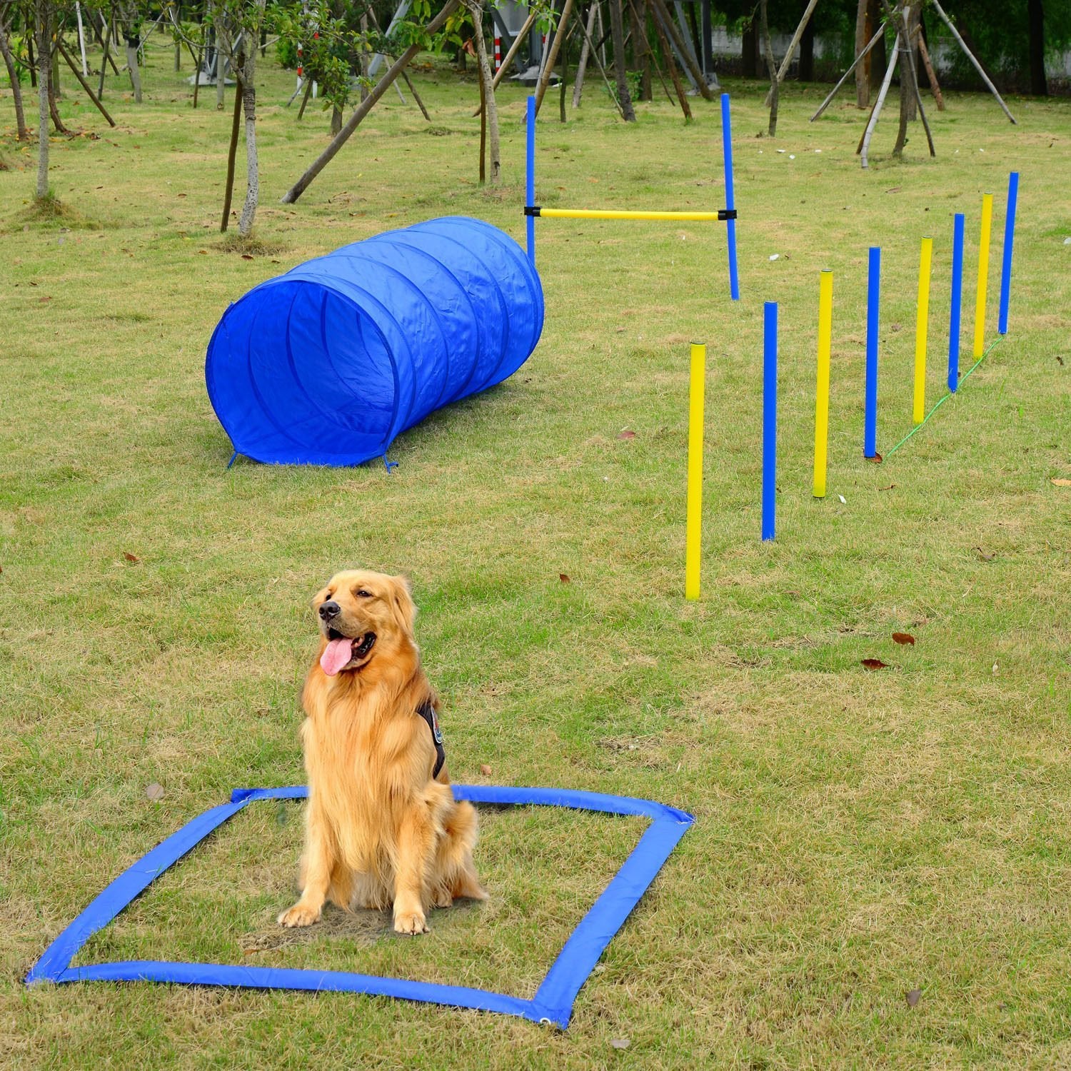 Taupe Shadow PawHut dog agility starter kit with colorful outdoor training toys for pet exercise and agility training.
