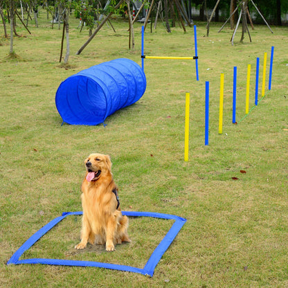 Taupe Shadow PawHut dog agility starter kit with colorful outdoor training toys for pet exercise and agility training.