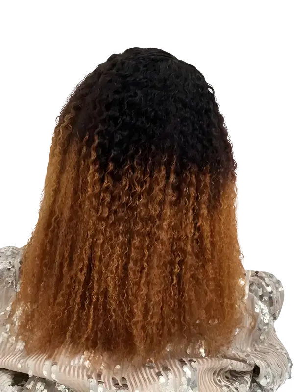 Ombre Afro wig with bold, curly human hair, featuring a vibrant color transition, styled with voluminous curls from Peach Clymene.
