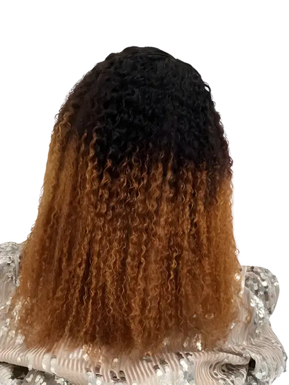 Ombre Afro wig with bold, curly human hair, featuring a vibrant color transition, styled with voluminous curls from Peach Clymene.
