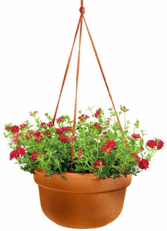 Rose Chloe Bloem 12-inch Dura Cotta hanging garden basket in terra cotta with a woven design and sturdy hanging chain.