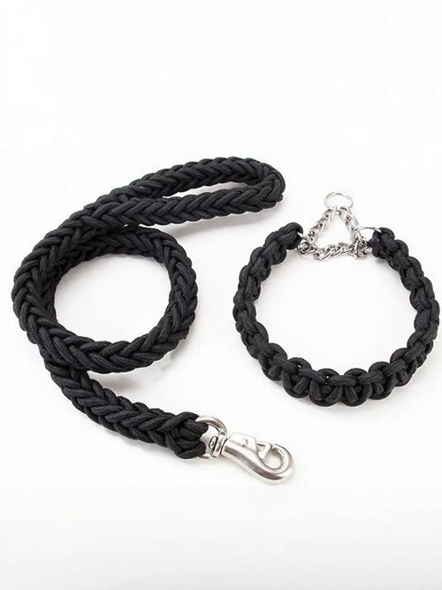 Pear Daisy 2-piece braided rope pet leash with metal clasp, durable and stylish for walking dogs in home and garden settings.