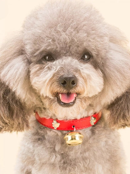 Leather pet collar with bell from Pear Daisy, featuring durable leather and a small bell for easy pet identification.