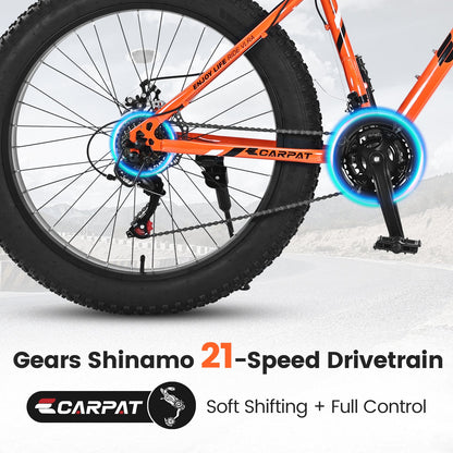 Carmine Juneberry TerraForce City-Cruizer 26-inch fat tire mountain bike with 21-speed gearing and full suspension.