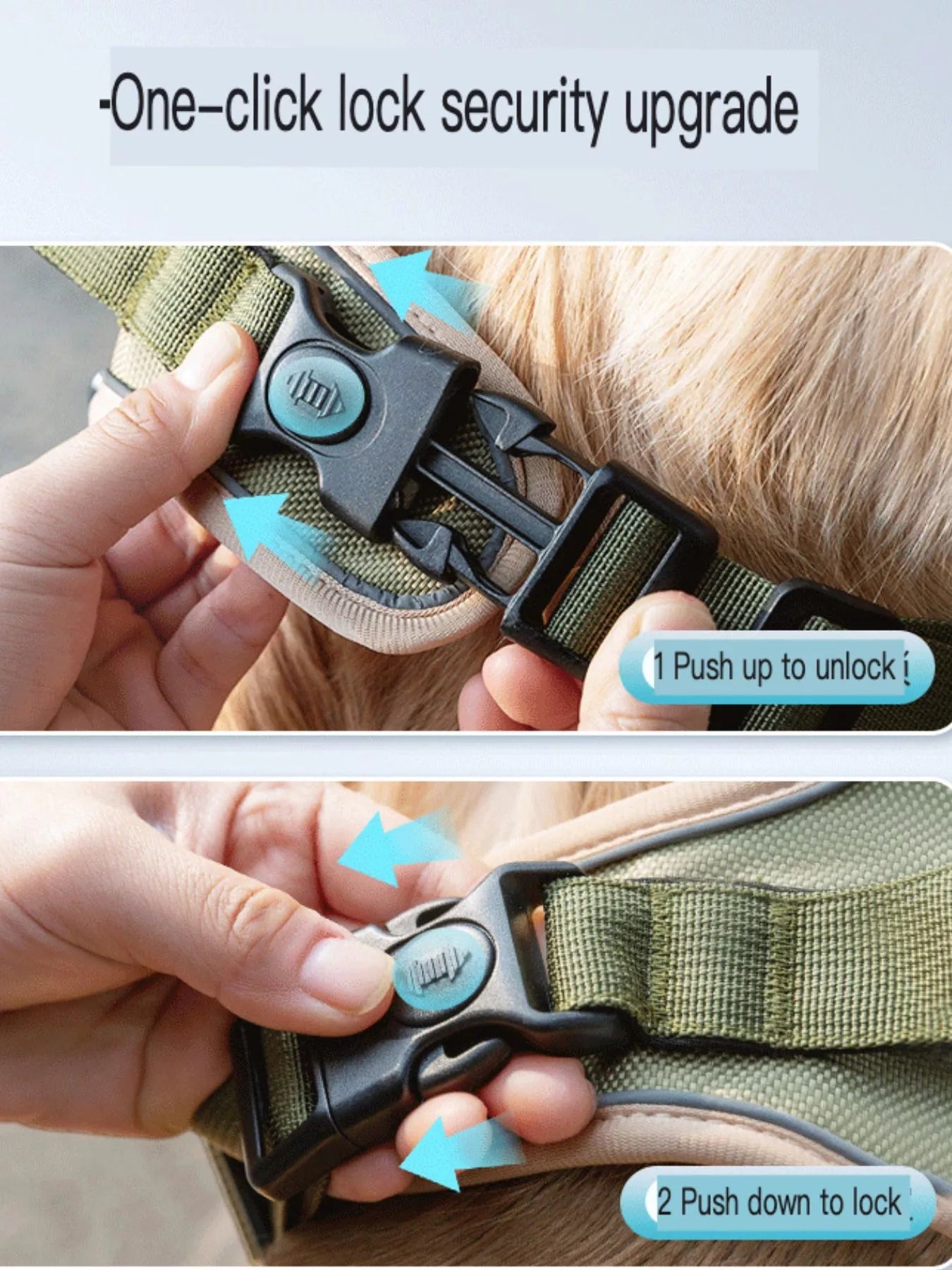 Adjustable reflective pet harness by Pear Daisy, featuring secure fit and high visibility for safe outdoor walks.