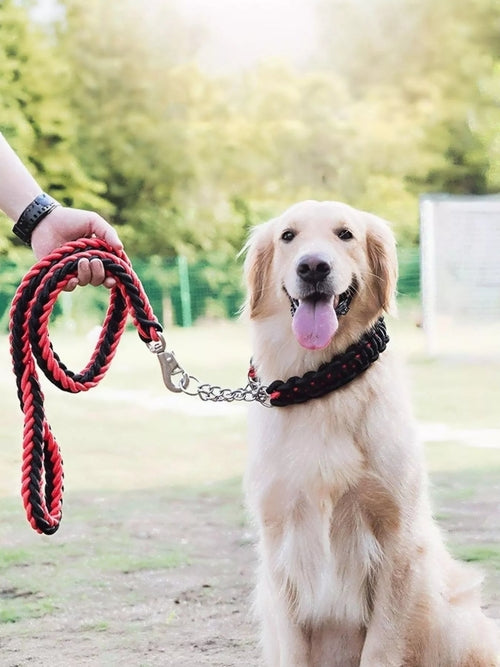 Two braided rope pet leashes with metal clasps, featuring durable design and comfortable handles for walking pets.