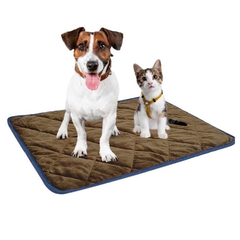Yellow Pandora self-heating thermal pet bed for dogs and cats, cozy heated mattress with plush fabric for pets&