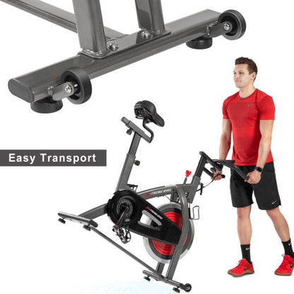 Teal Simba indoor cycling bike with 4-way adjustable handlebar and seat, LCD monitor for tracking workout data.