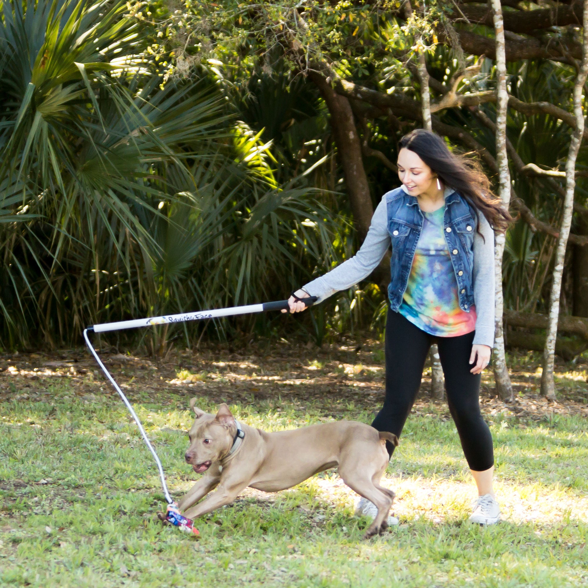 Purple Medea Squishy Face Studio Flirt Pole V2 dog toy for exercise and training with colorful, soft fabric and durable handle.