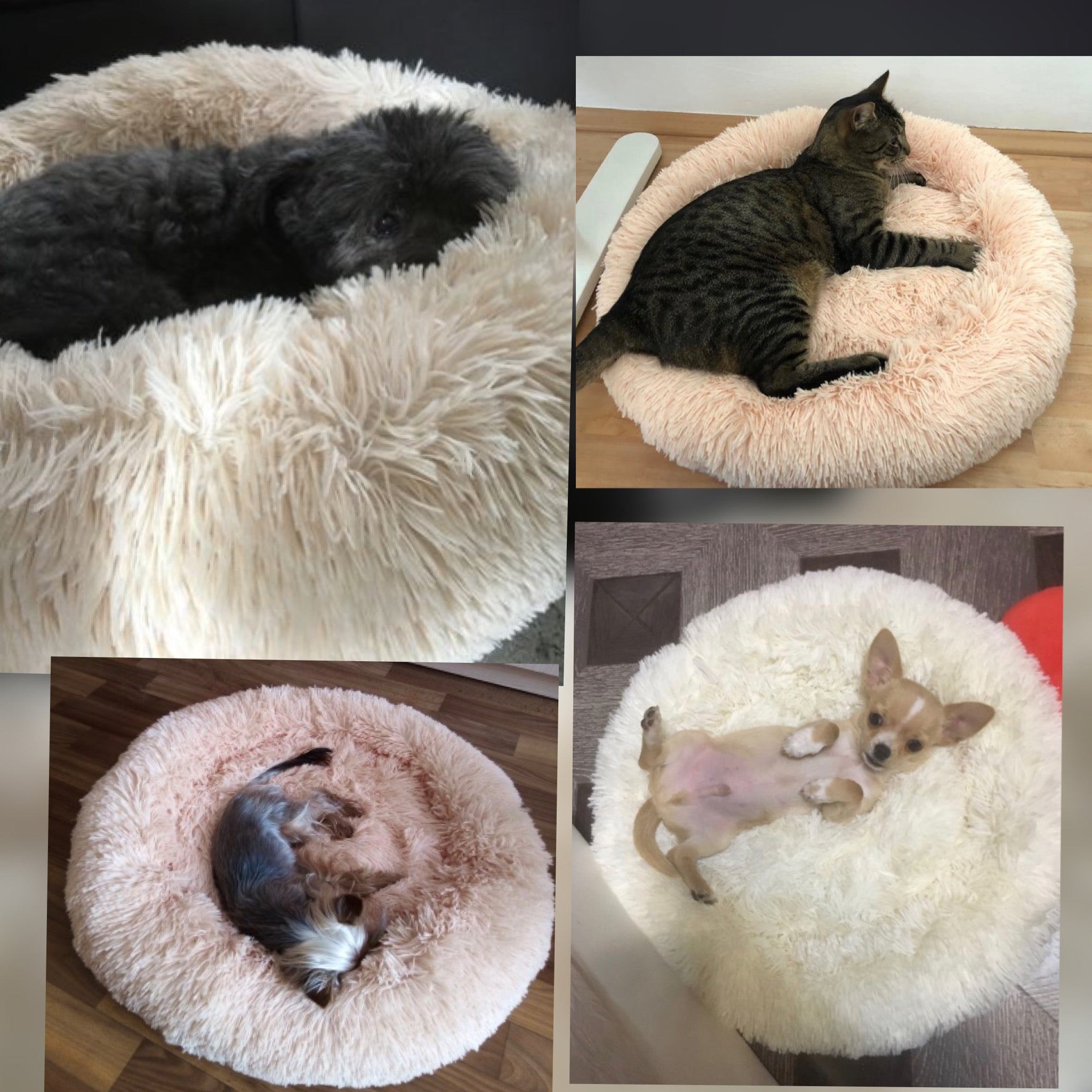 Teal Simba super soft long plush pet bed with cozy cushioning, ideal for calming and comfortable sleep for small pets.