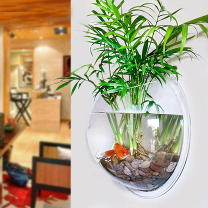 Fuchsia Molly wall hanging fish tank with clear glass and aquatic plants, designed for home and garden decor.