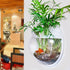 Fuchsia Molly wall hanging fish tank with clear glass and aquatic plants, designed for home and garden decor.