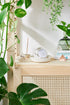 White Smokey Organic Calm Bomb lavender bath bomb in two sizes, relaxing bodycare product for soothing bath experience.