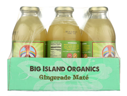 Plum Maple Gingerade Maté 16oz beverage bottles, 12-pack, featuring refreshing ginger and yerba maté flavor in clear plastic bottles.