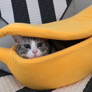 Fuchsia Molly Banana Cat House made of cozy fabric, designed for cats to rest and play in a fun banana shape.