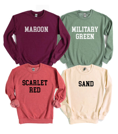 Agate Thank You Next sweatshirt, cozy sweater with printed text, casual fit, soft fabric, perfect for casual wear and comfort.