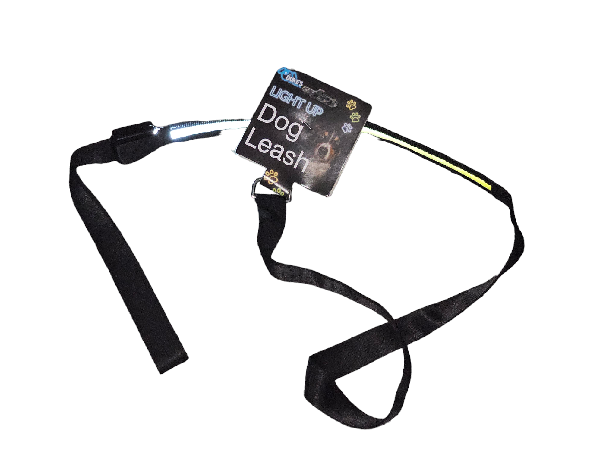 Sky Pandion light-up dog walking leash with reflective striping, illuminated for safe night-time walks, showing the leash in a dark setting.