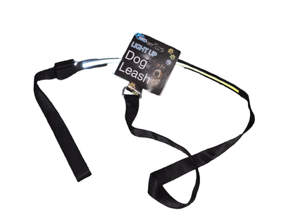 Sky Pandion light-up dog walking leash with reflective striping, illuminated for safe night-time walks, showing the leash in a dark setting.