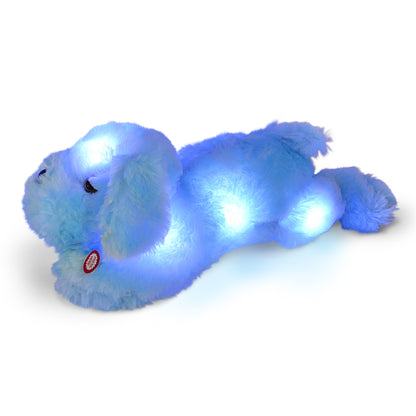 Gray and blue glow-in-the-dark blanket and pillow set by Plum Aion, featuring cozy fabric and luminous accents.