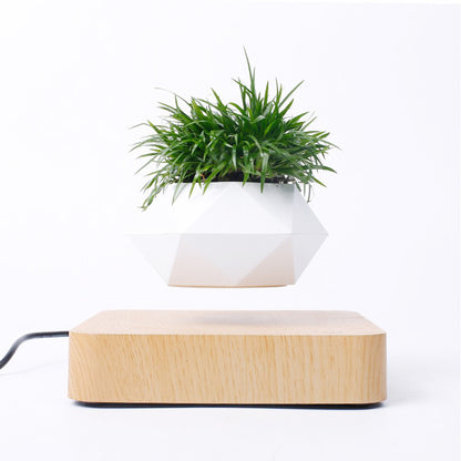 Magnetic levitation flowerpot by Teal Simba with rotating flower display, floating in mid-air above a lighting base.