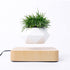 Magnetic levitation flowerpot by Teal Simba with rotating flower display, floating in mid-air above a lighting base.