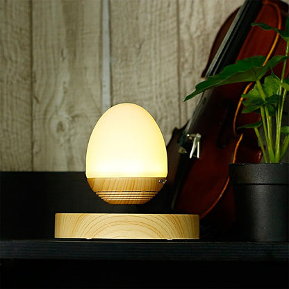 Fuchsia Molly Bluetooth magnetic levitation speaker floating above a base, modern home decor in the home and garden setting.
