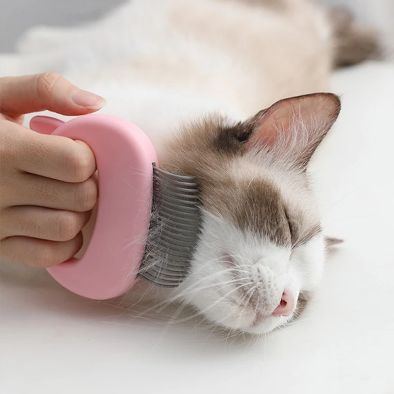Teal Simba pet grooming massage brush with soft bristles for removing loose pet hairs during grooming.