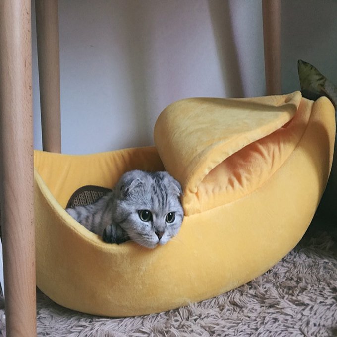 Fuchsia Molly banana-shaped cat house with cozy interior, ideal for cats to rest and play in home and garden setting.