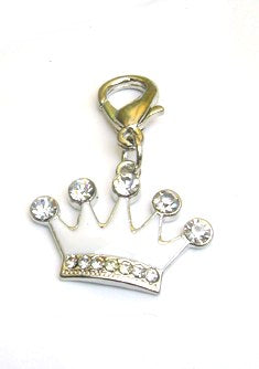 Salmon Oscar Crown Crystal and Enamel Pet Dog and Cat Charm attached to a leash or collar, featuring a shiny crown design.