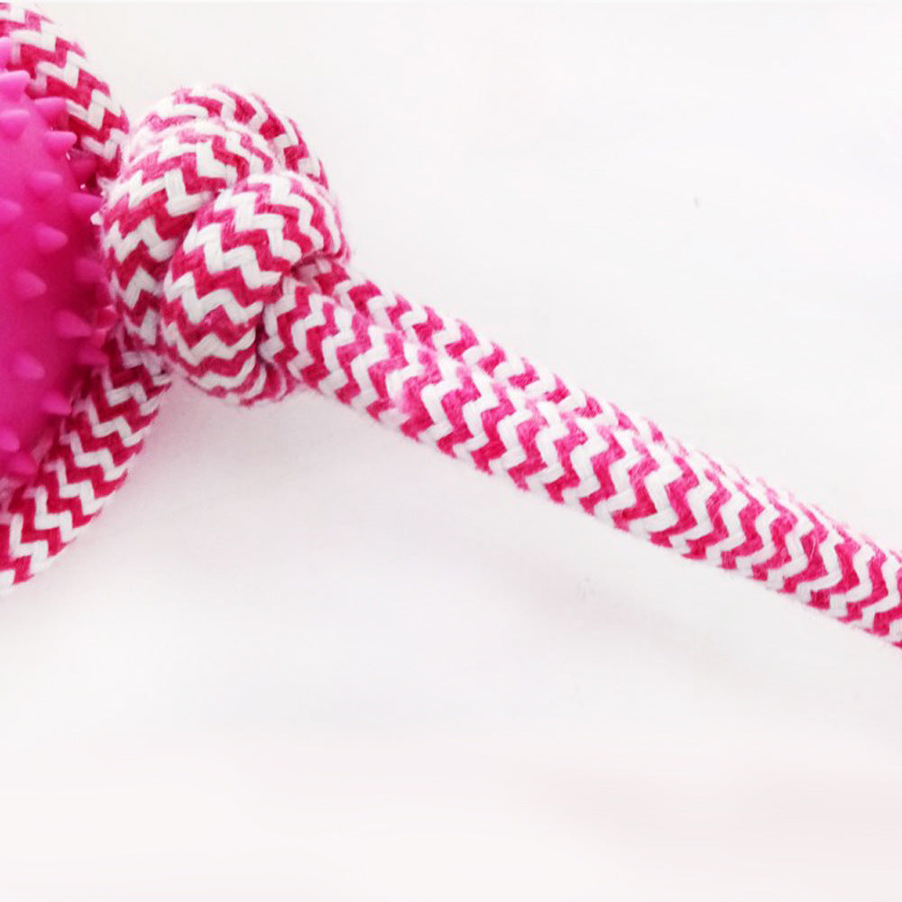 Fuchsia Molly rubber chew training dog toy with textured surface, designed for durable play and oral stimulation for pets.